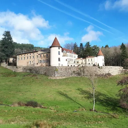 بيت ضيافة Chateau De Pramenoux *