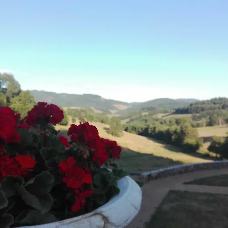 Guest house Chateau De Pramenoux *